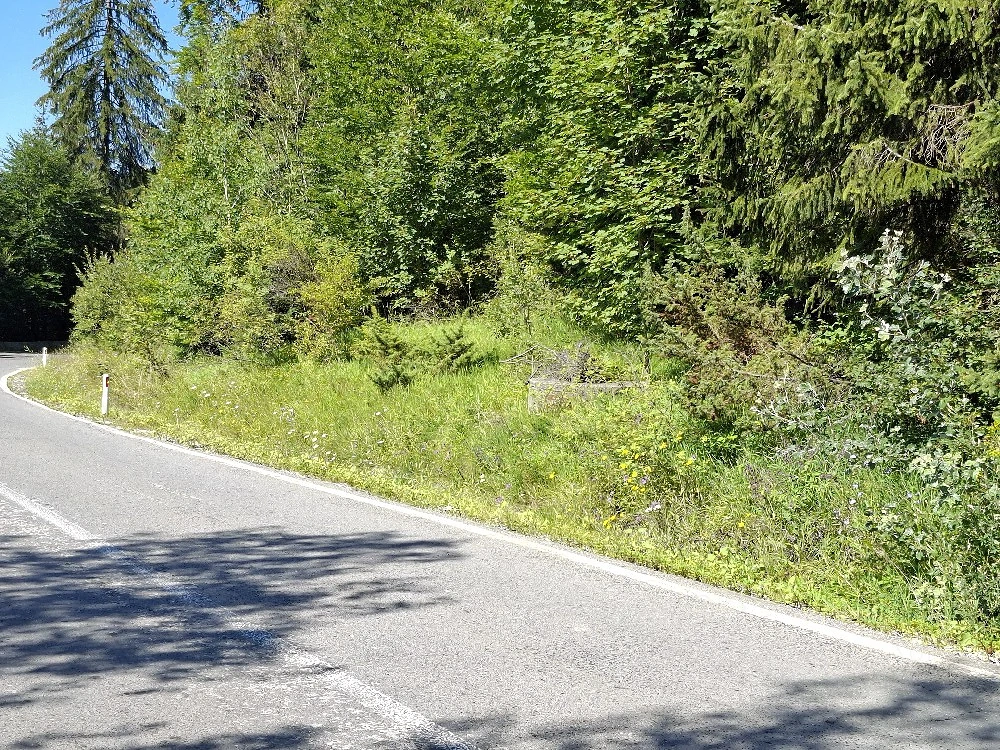 Teren intravilan SINAIA 