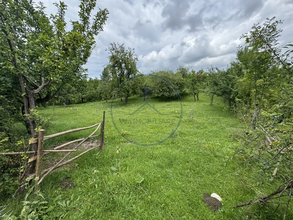 🏡 Teren intravilan | 22Ari. |  Budacu de Sus, la doar 17 km de Bistrița! 🌳
