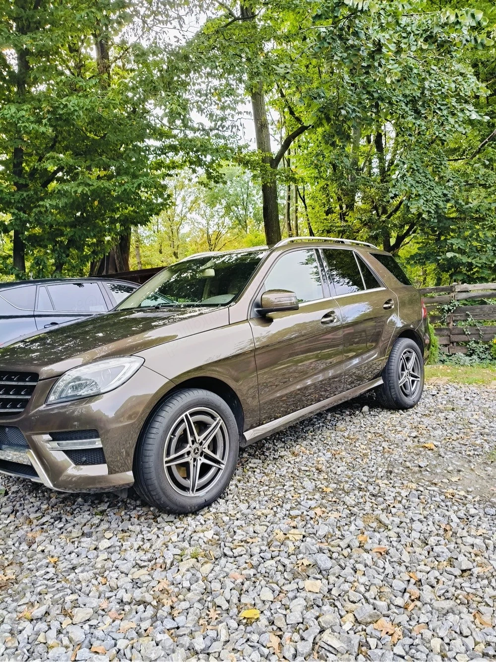 Mercedes ML 250 2012