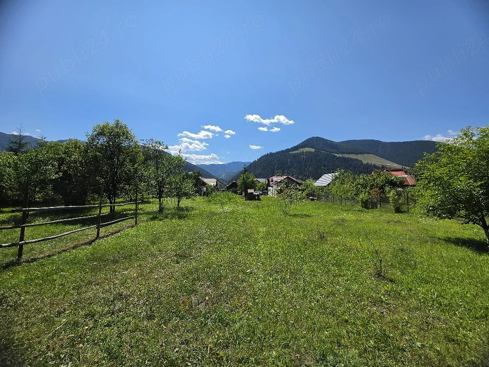 Teren 1350mp - Borca - poaiana Sabasei -Intravilan