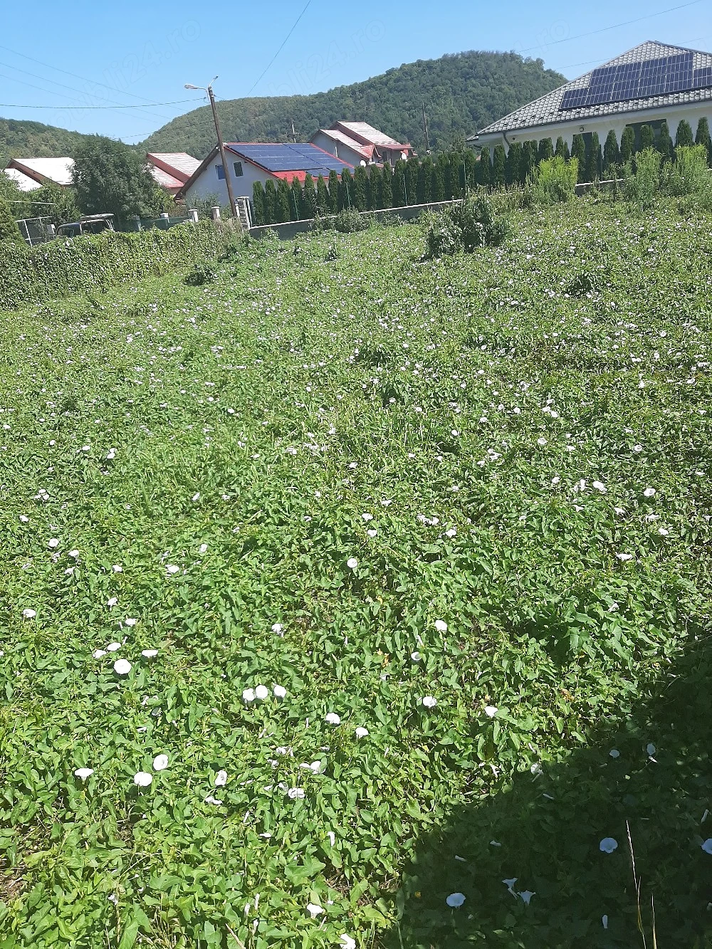 Teren zona Parc