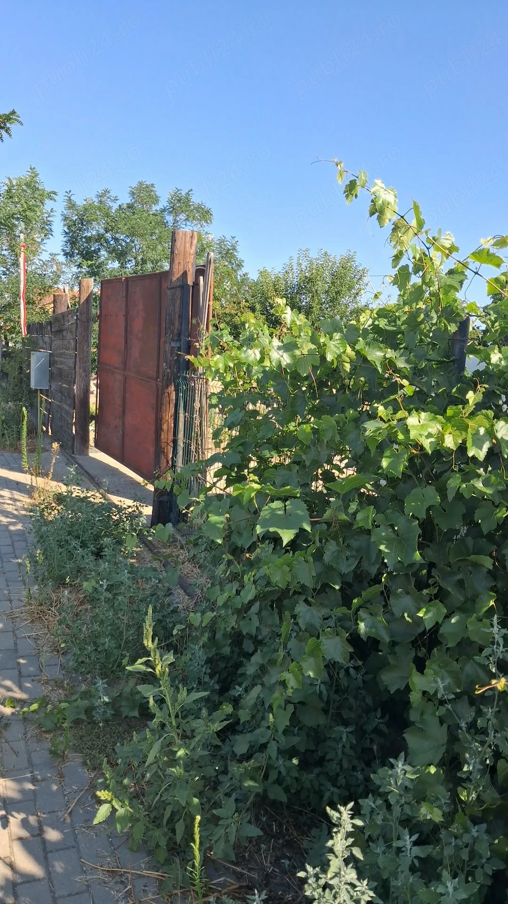 Vând gradina  cu intrare din dou străzi 