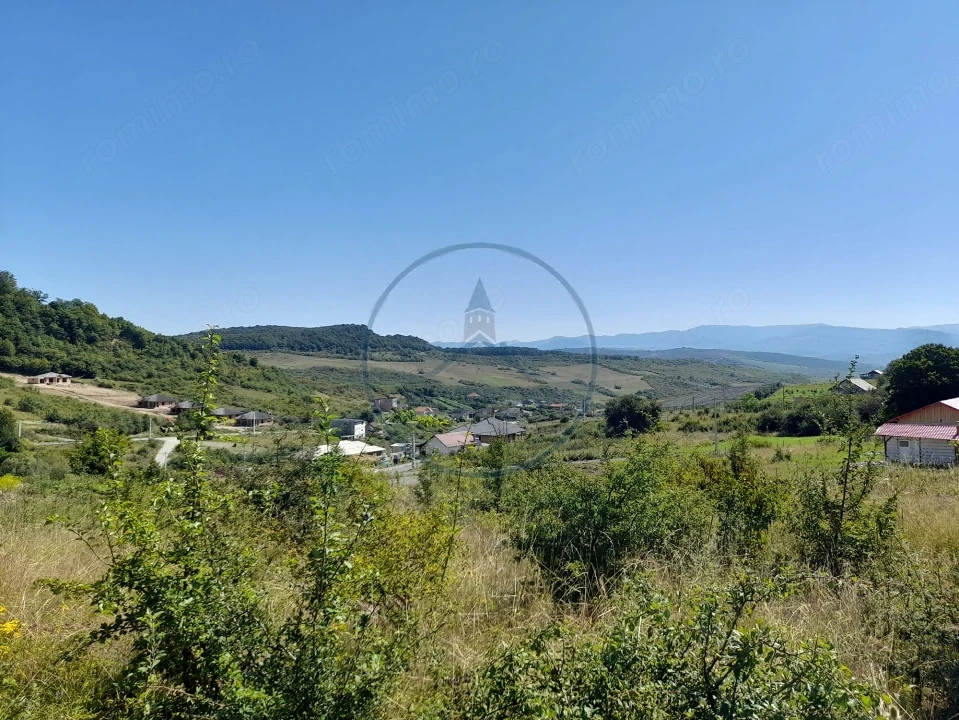 TEREN 990MP,VALEA JELNII