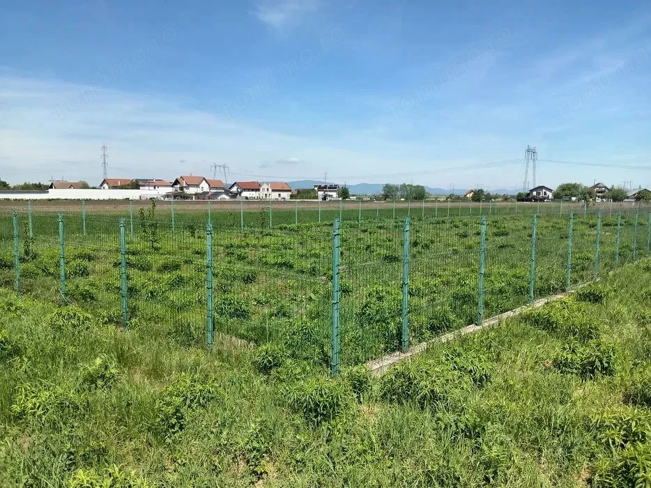 Teren Intravilan 837 mp Stupini