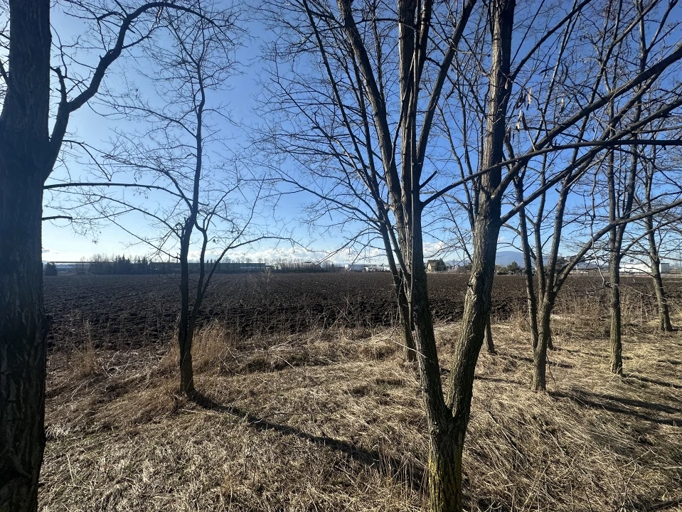 Teren Intravilan 60.000mp