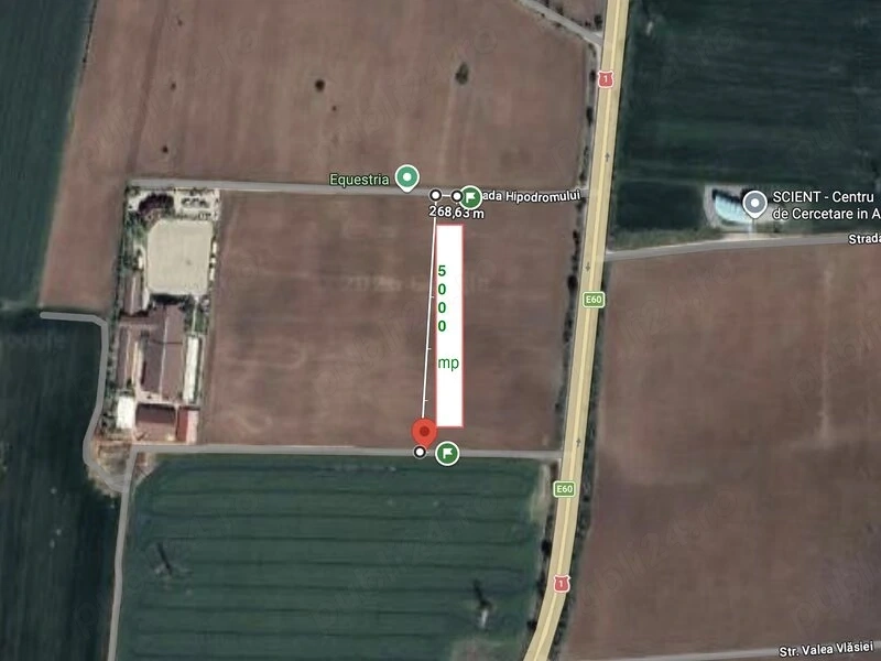 Tancabesti DN1, Equestria