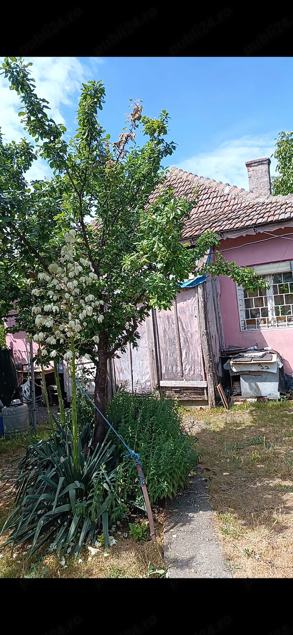 Casa de vanzare + doua terenuri agricole