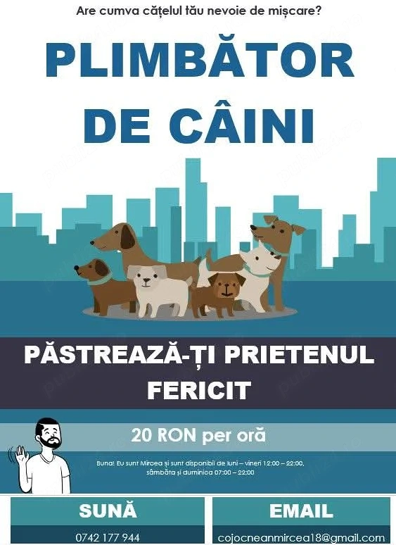Plimb catei in Sibiu