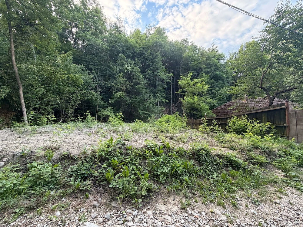 Vând teren intravilan în Băile Govora 1116 mp