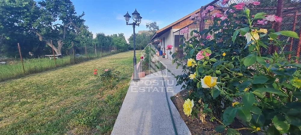 Casa individuala de vanzare cu teren de 2000 mp, Fratelia, Timisoara