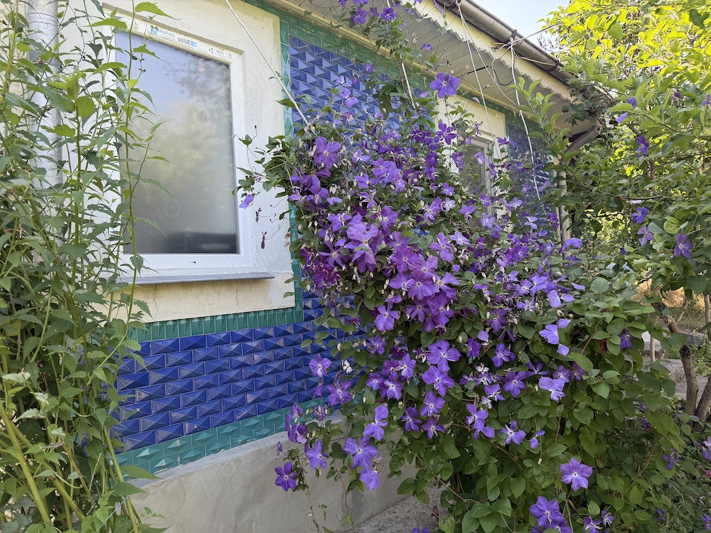 Vand casa frumoasa cu teren
