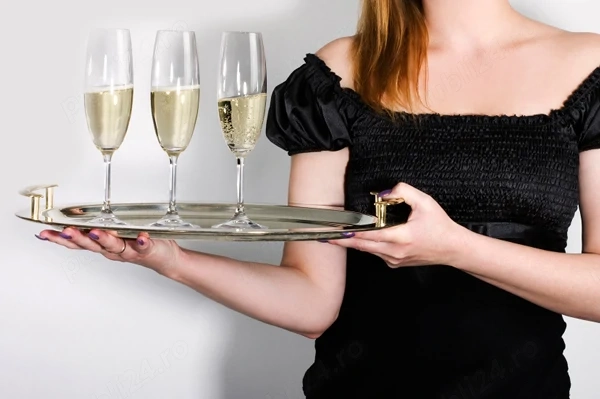 Nu rata ocazia !!!.  Angajez domnisoara, ca hostess- protocol-2-3 ore dupa cursuri sau serviciu.
