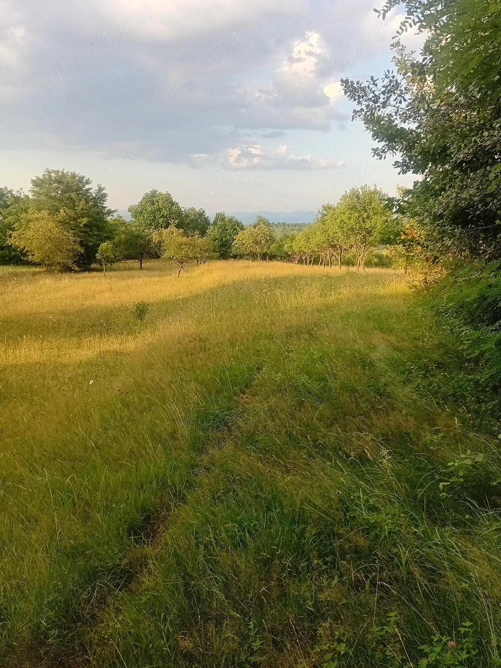 Teren de vânzare în Breb