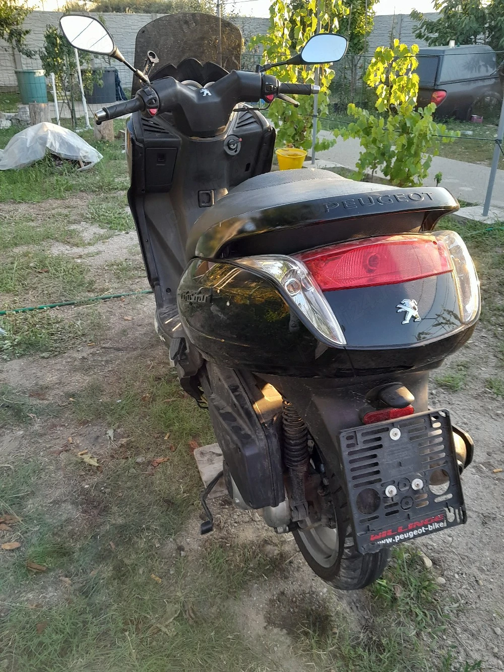 Foto 5