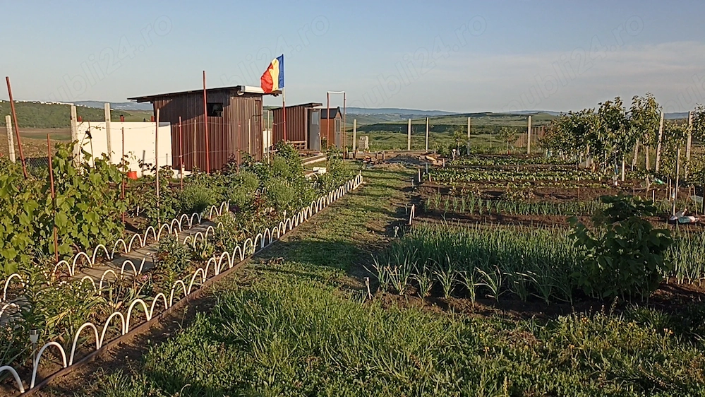 Teren Intravilan 470 mp   Horlești, Comuna Rediu (Proprietar)