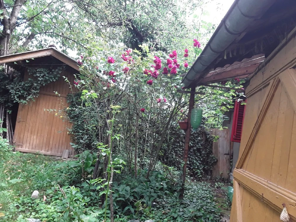 Casa batraneasca în Teisani, lângă Văleni de Munte 