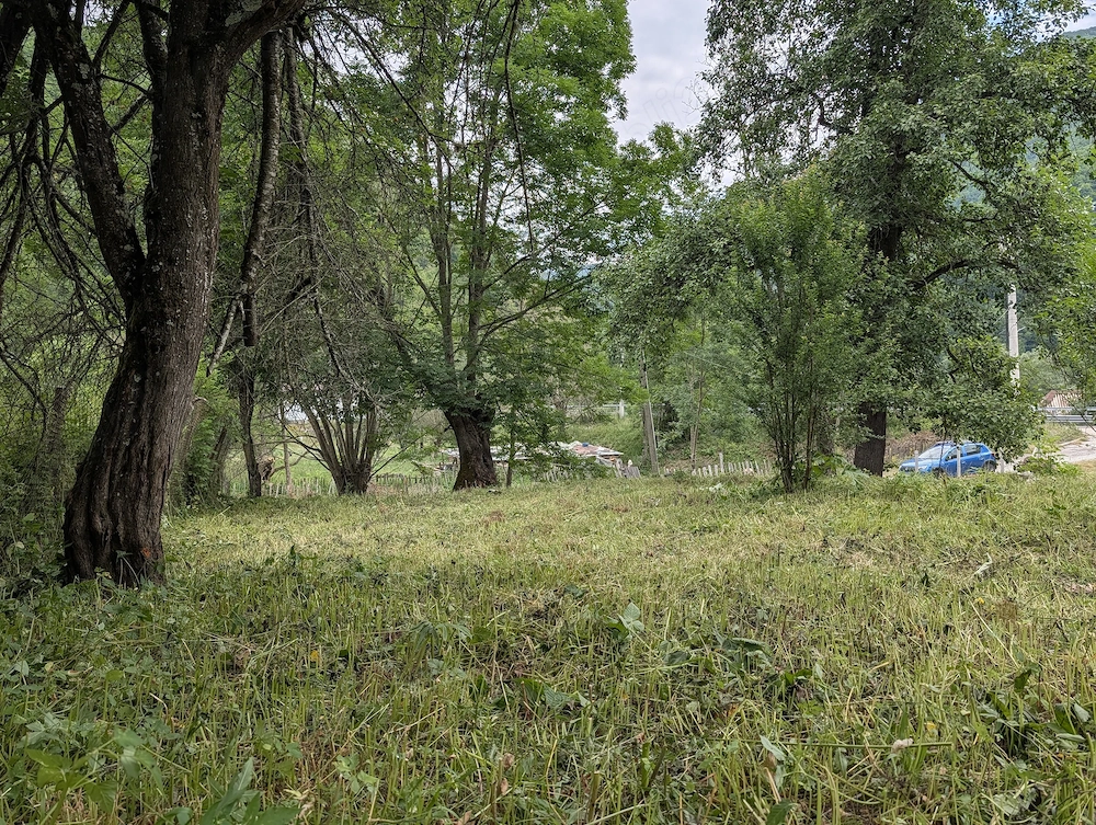 Vând teren Valea Lotrului intravilan, cu apă, electricitate și turn telecom lângă