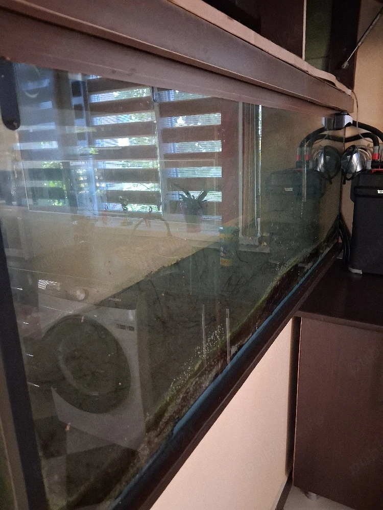 Acvariu 500l la prețul de 300 lei