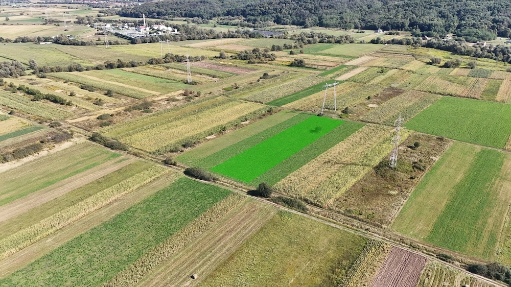 Teren extravilan de vânzare –5000 mp, Șelimbăr (Mohu)