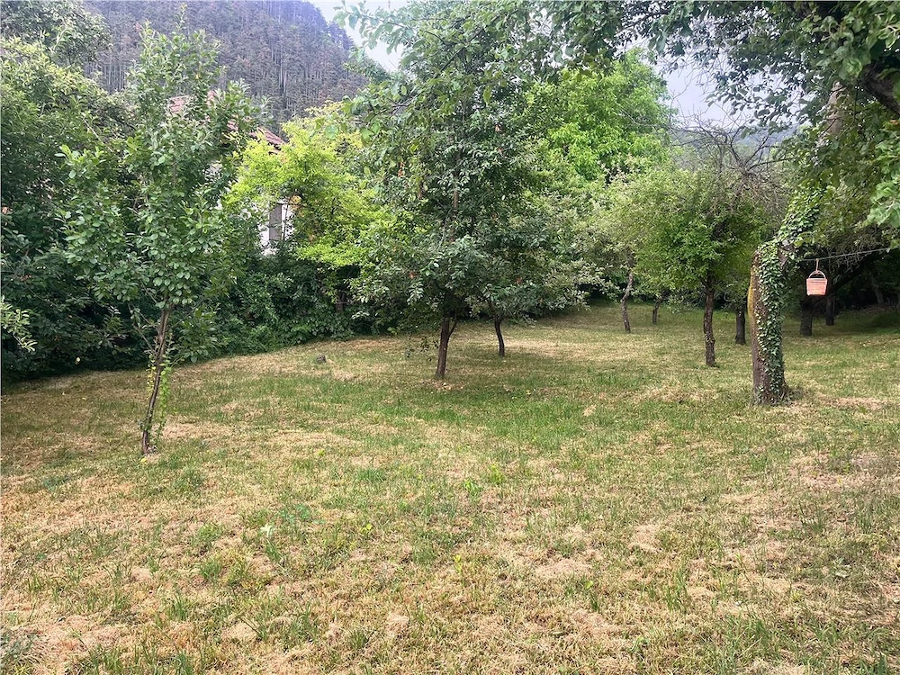 TEREN 1600MP CU CASA 5 CAMERE, SCHEII BRASOVULUI