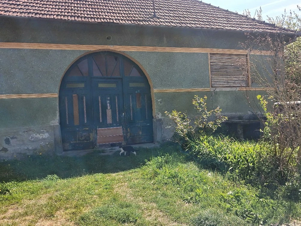 Vind casa cu gradina 1370 m patrati 