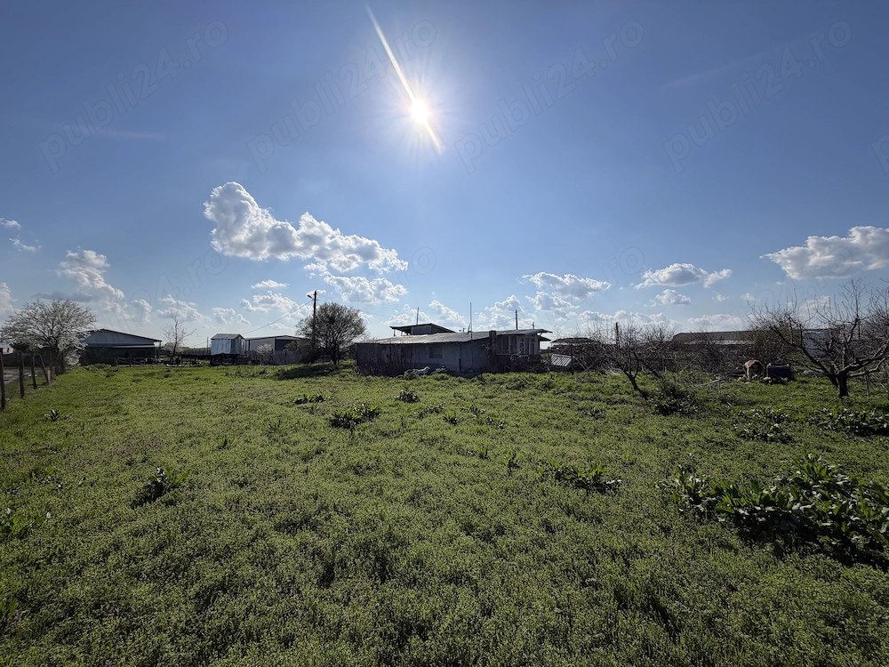 Teren intravilan agricol 5.000 mp de vânzare   Iepurești, Giurgiu