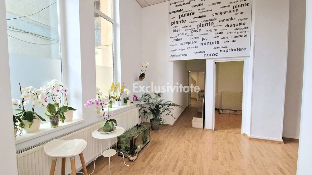 De inchiriat spatiu comercial central