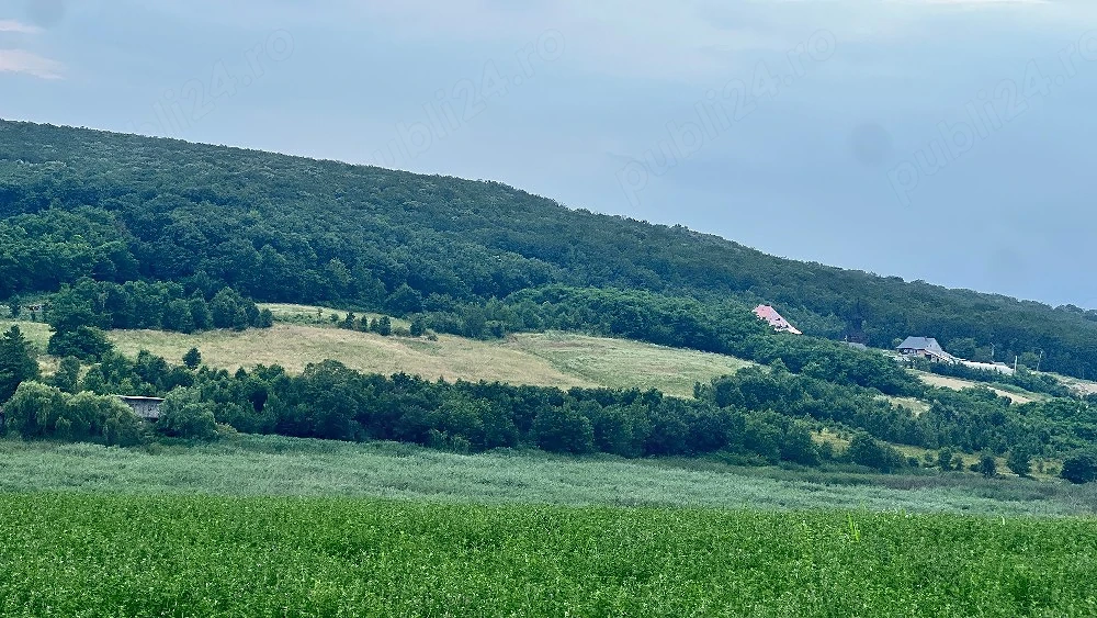 vand casa si teren