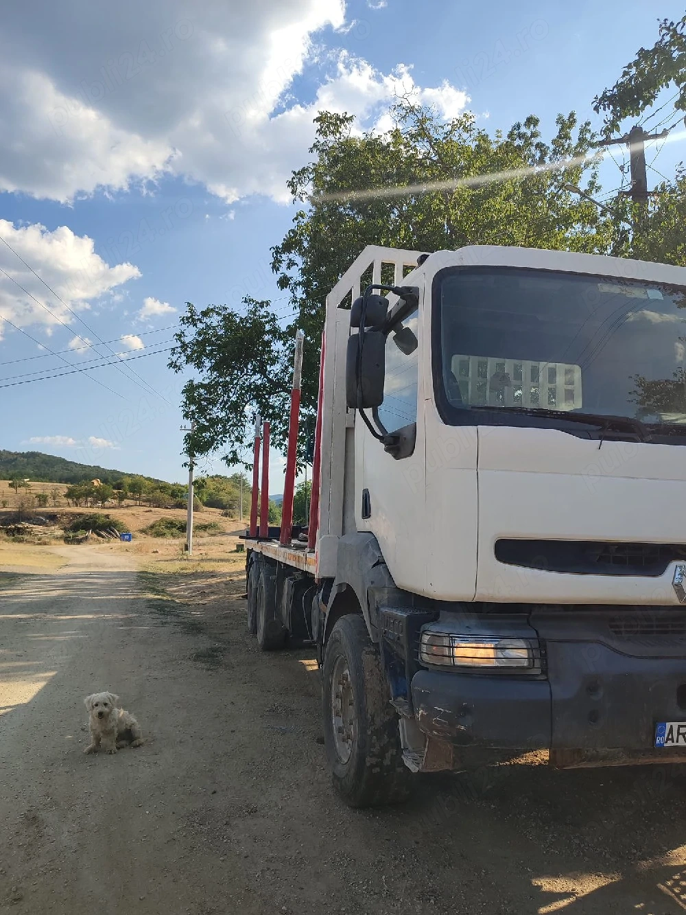 De vanzare camion Renault forestier