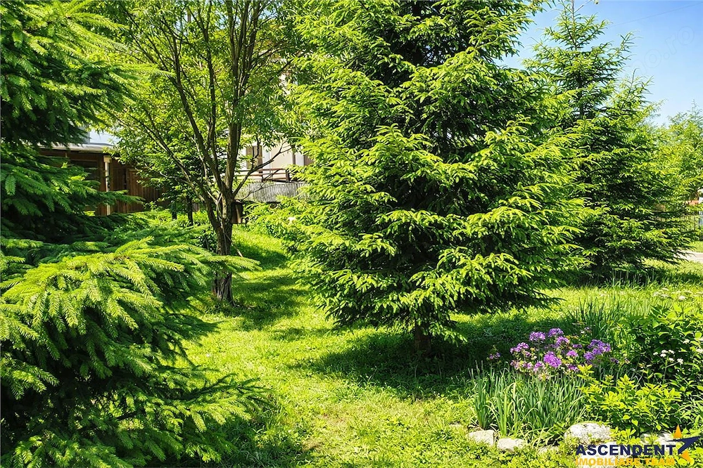 Locatie cu patru anotimpuri intr- o zi, incadrata de 2.350 teren, Bran - Fundata, Brasov