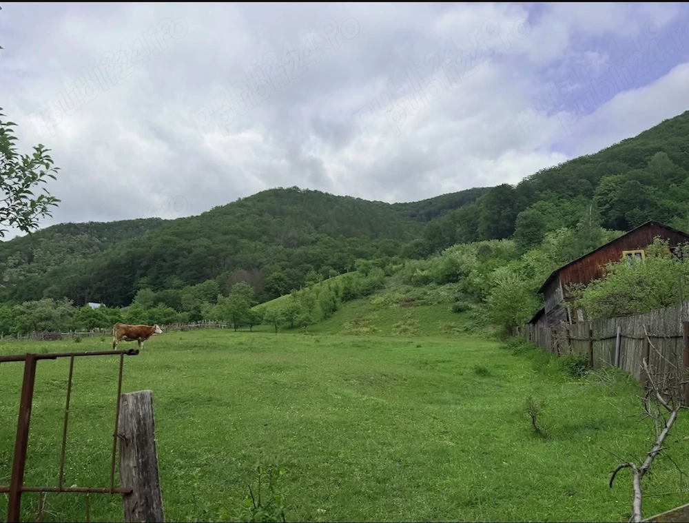  Vand Teren pe Raul Mic, Cugir, 5500 mp
