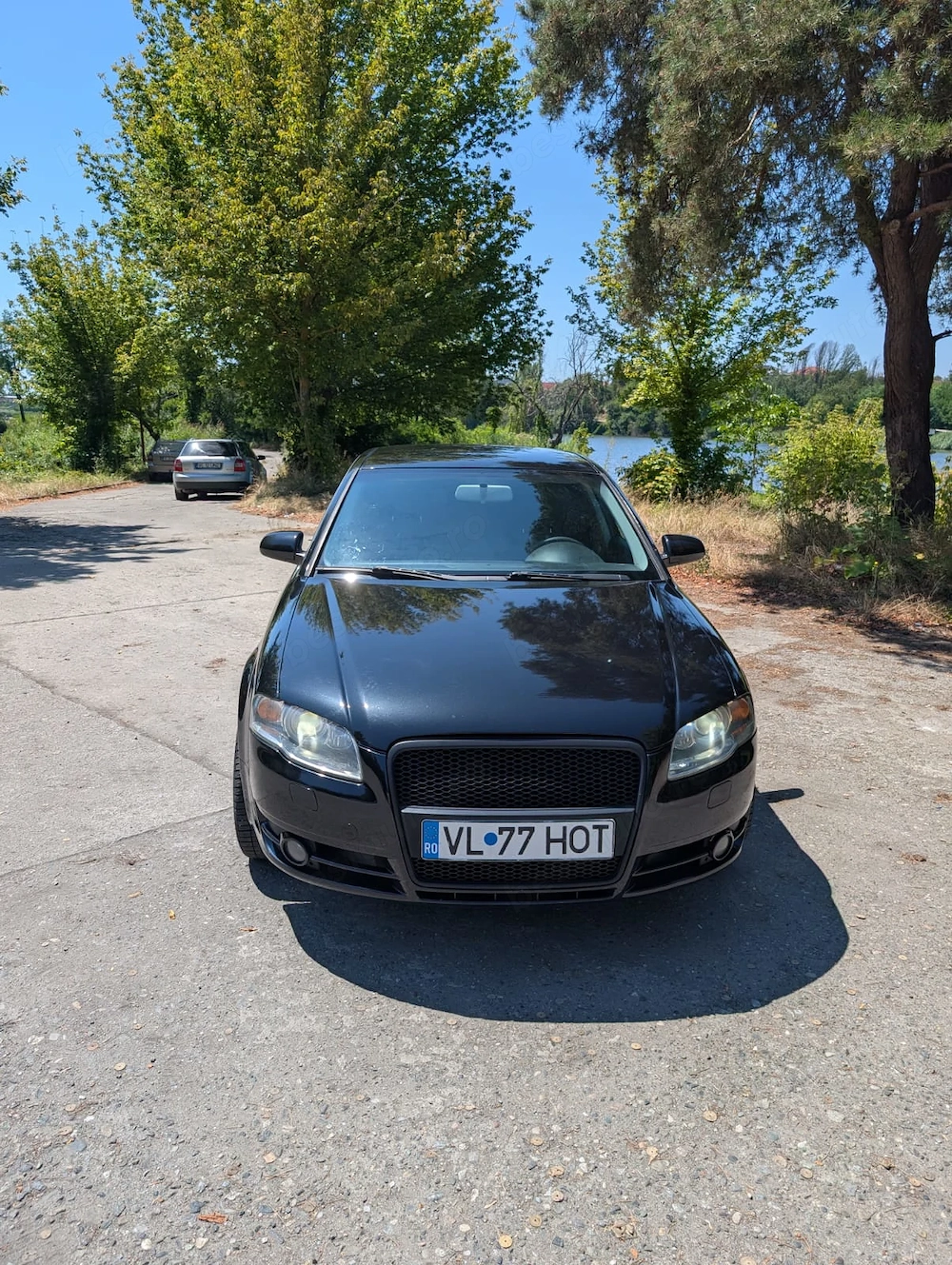 Audi A4 B7 2007 2.0 TDI 170 CP BRD