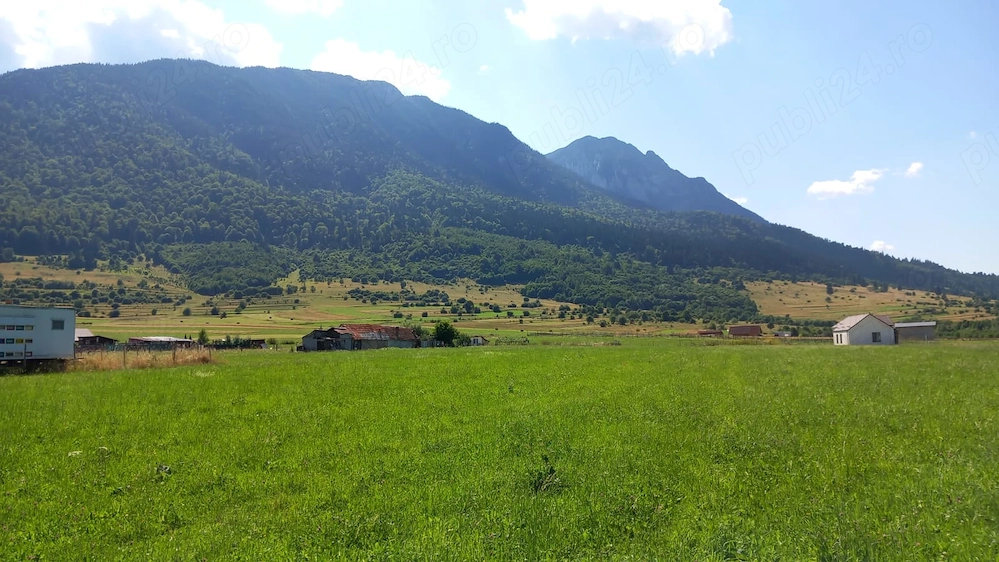 Persoana fizica vand 1136mp teren intravilan