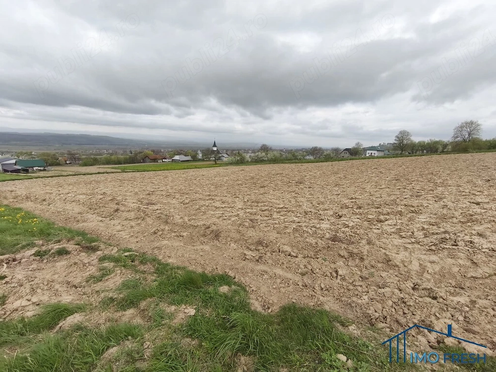 Teren 8300 mp Mariteia Mica (Dărmănești) - Ideal Investiție