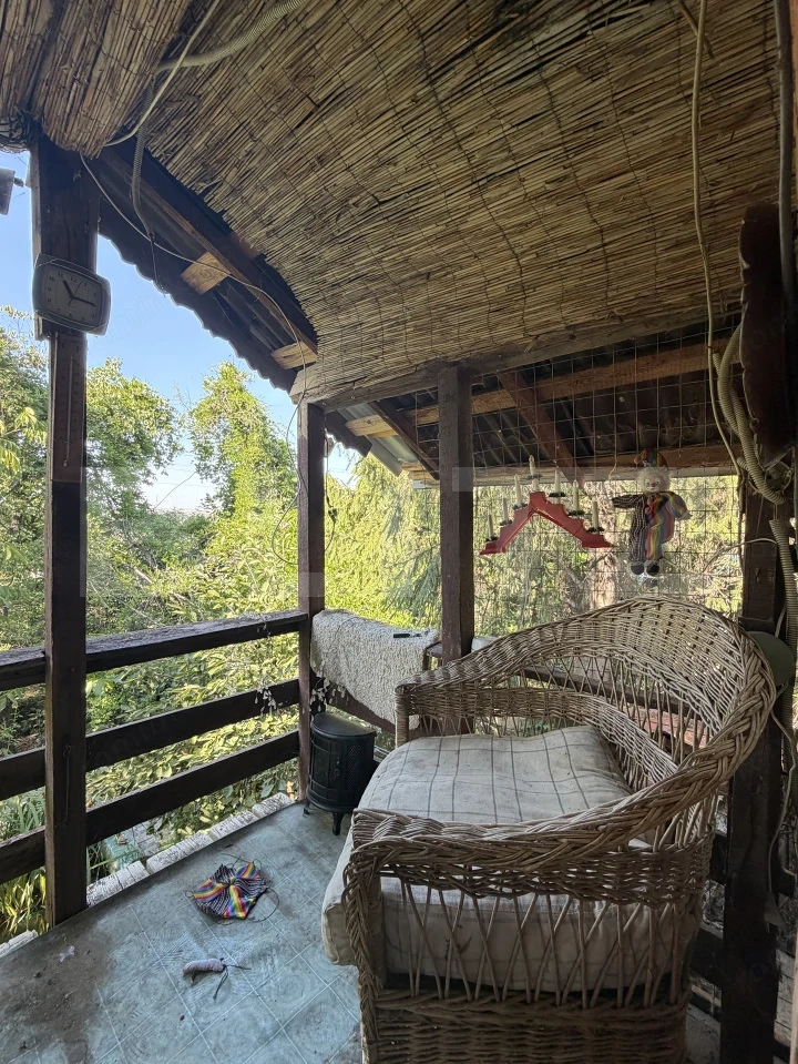 Casa P+M, 777 mp teren, Breasta