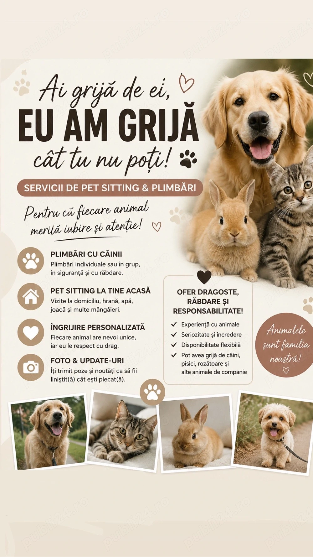 servicii petsitting 