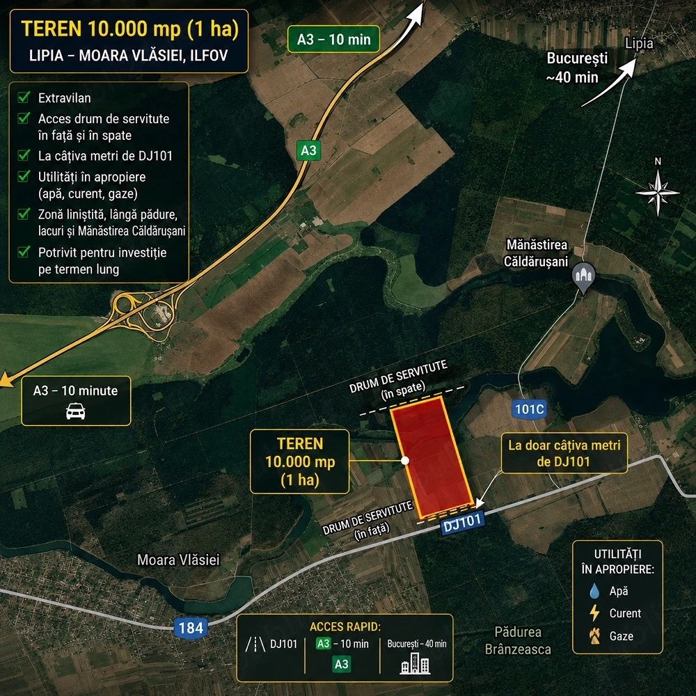 Teren 10.000 mp (1 ha) lângă DJ101   Moara Vlăsiei   Lipia   10 min A3   ideal investiție
