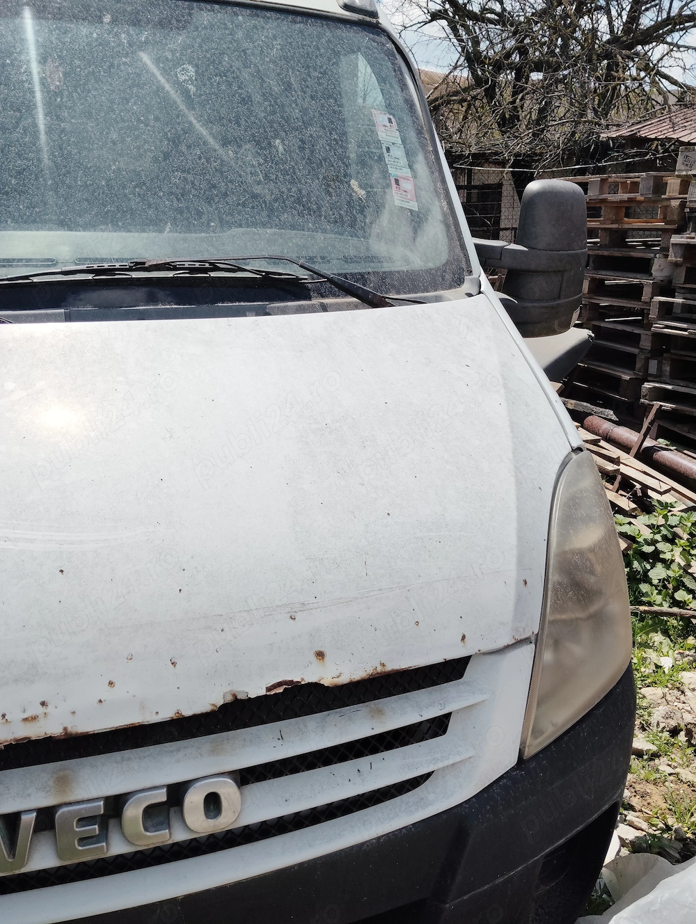 Iveco dayli