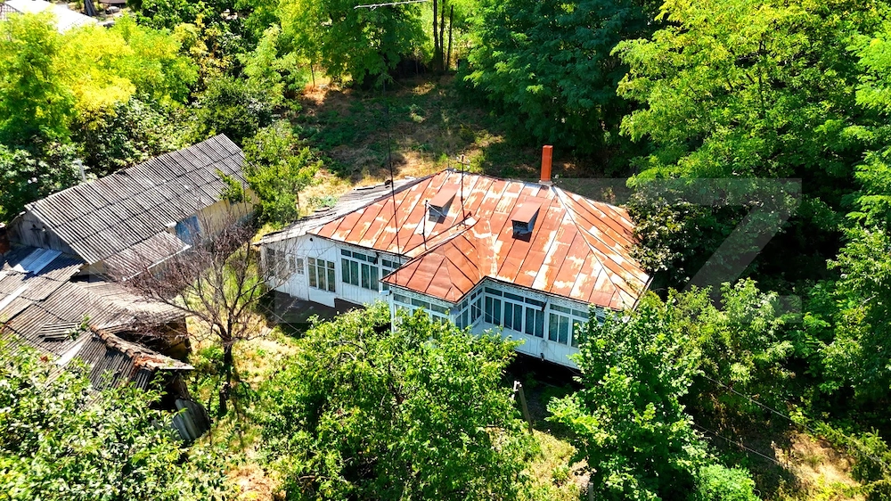 Casă bătrânească cu bucătărie de vară, 100 mp, teren 3.000 mp, zona Raducaneni