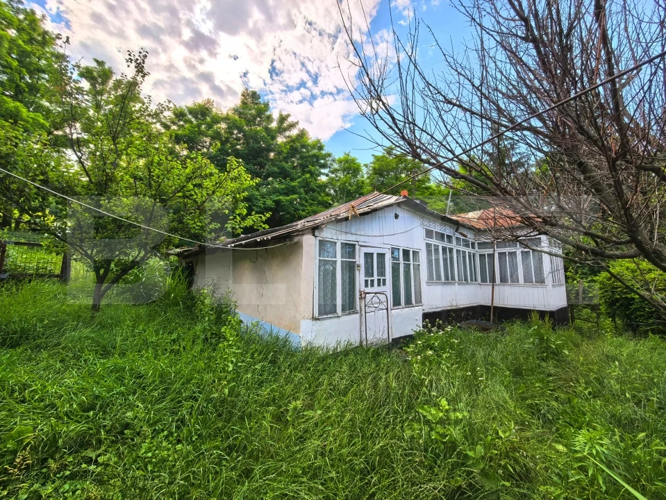 Casă bătrânească cu bucătărie de vară, 100 mp, teren 3.000 mp, zona Raducaneni