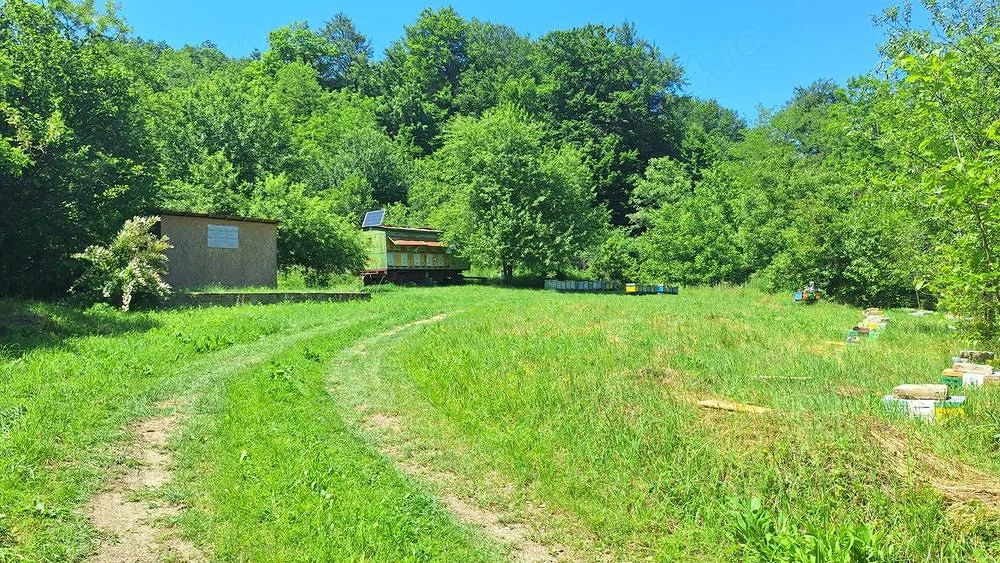 Vând grădină intravilan pe Valea Bârzăvii