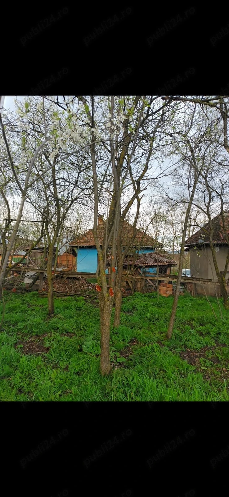 Vand casa in sat Samboleni