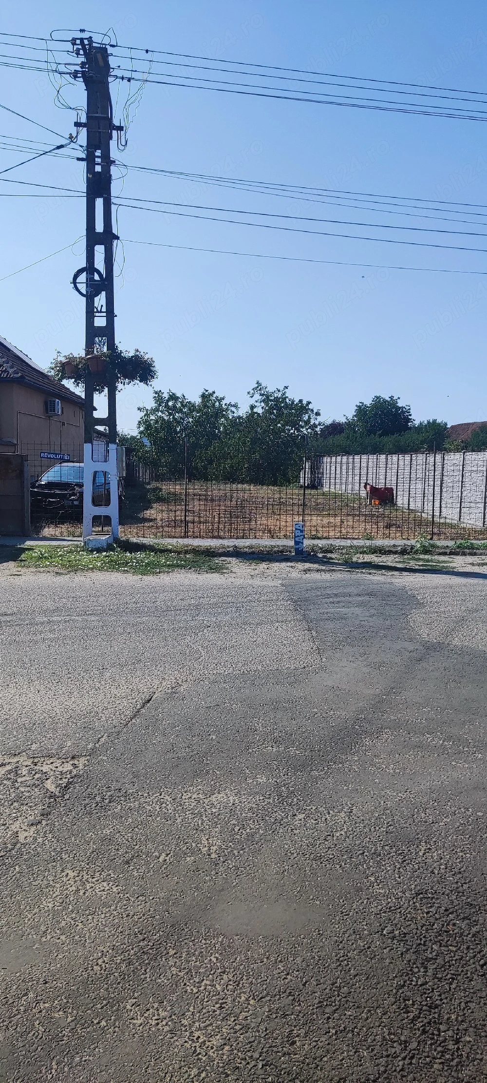 teren intravilan de vânzare in Vladimirescu Arad 