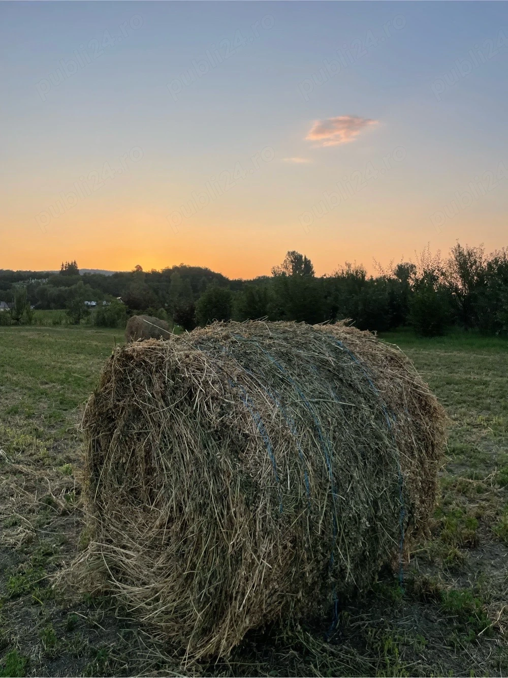 vand baloți 