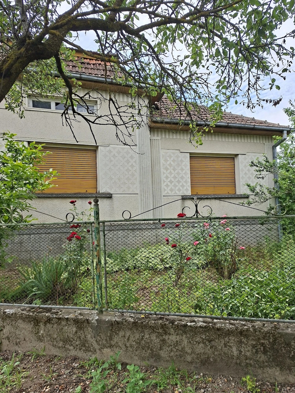 De vânzare casă familială în Dobra (jud. Satu Mare)