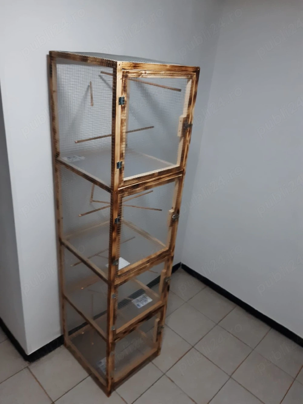 colivi păsări de companie