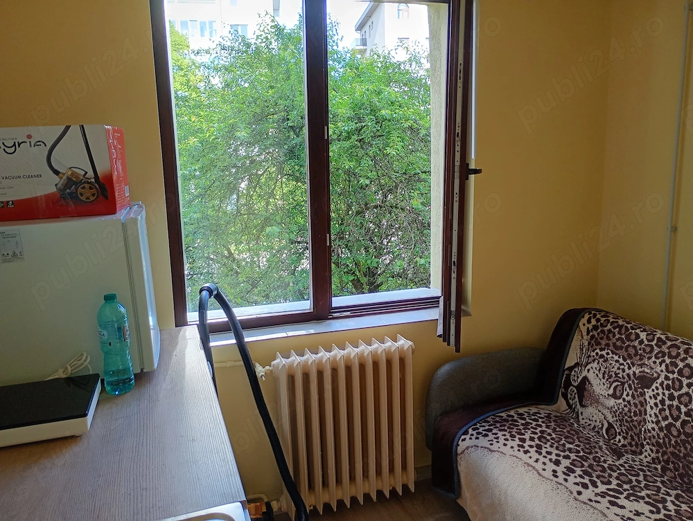 Închiriere garsoniera Albac 25
