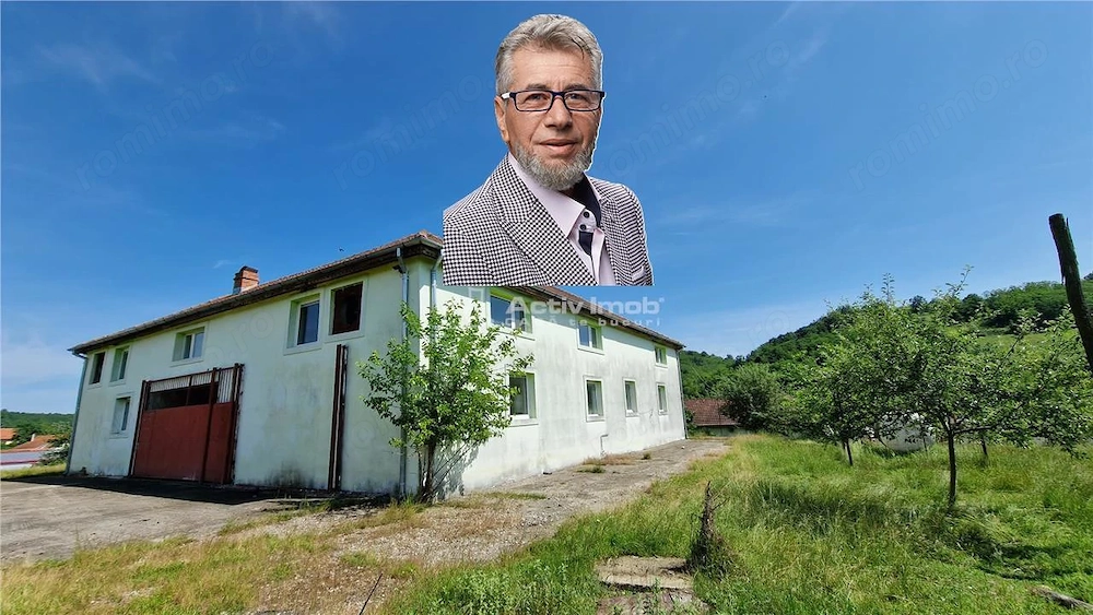 Farliug Casa sau Afacere 125 000 euro