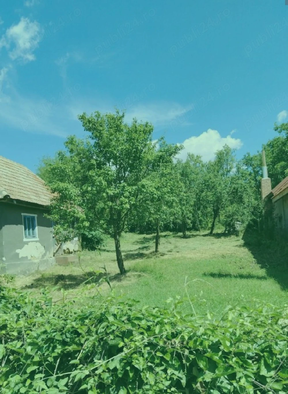 casa de vanzare