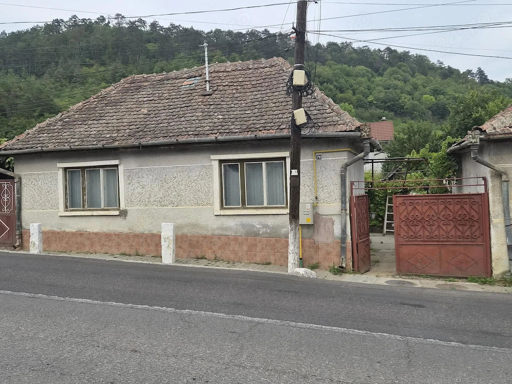 Casa de vanzare 
